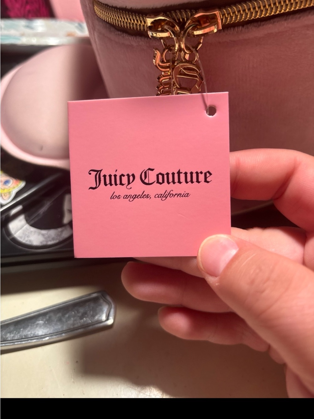 Juicy Couture Light Pink Velvet Cosmetic Case with Gold Crest - Picture 5 of 5